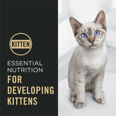 Image showing  Complete Essentials Kitten Chicken and Rice Formula Dry Cat Food