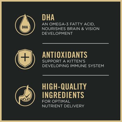 Image showing 7 th Purina Pro Plan Complete Essentials Kitten Chicken and Rice Formula Dry Cat Food