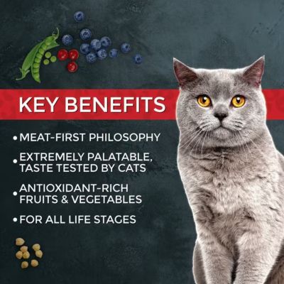 Image showing  Market Fresh Chicken and Turkey Recipe Dry Cat Food