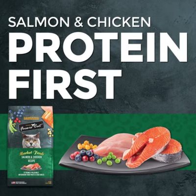 Image showing  Market Fresh Salmon and Chicken Recipe Dry Cat Food
