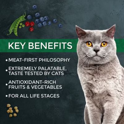 Image showing  Market Fresh Salmon and Chicken Recipe Dry Cat Food