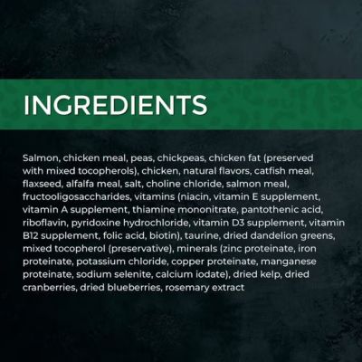 Image showing  Market Fresh Salmon and Chicken Recipe Dry Cat Food