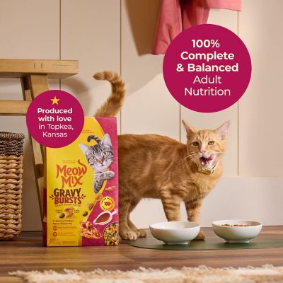 Image showing  Gravy Bursts Savory Chicken Flavor Mix with Gravy Filled Pieces, Dry Cat Food, 13.5 lb. Bag