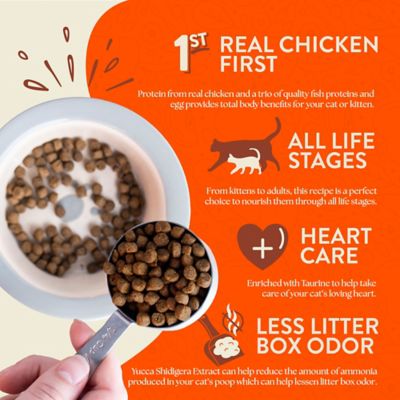 Image showing  Primitive Feline All Life Stages Grain-Free Indoor Formula Chicken Dry Cat Food
