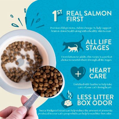 Image showing  All Life Stages Grain-Free Indoor Formula Wild Sea Catch Dry Cat Food