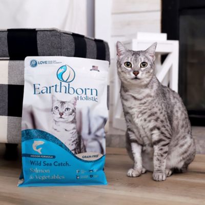 Image showing  All Life Stages Grain-Free Indoor Formula Wild Sea Catch Dry Cat Food