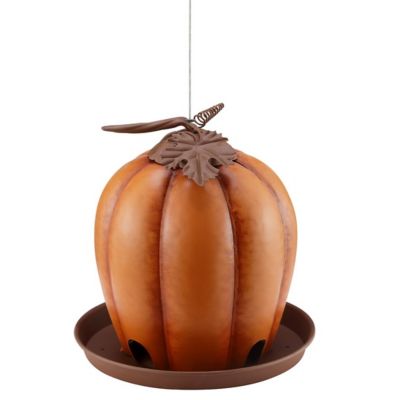 Royal Wing Pumpkin Metal Bird Feeder, Orange