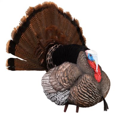 Image showing  Turkey Decoy Apex Strutter Tom