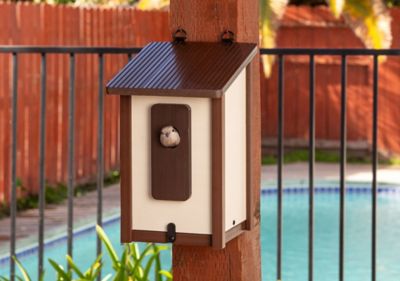 New Age Pet Feathered Friends, Beak Bungalow Bird House, Large
