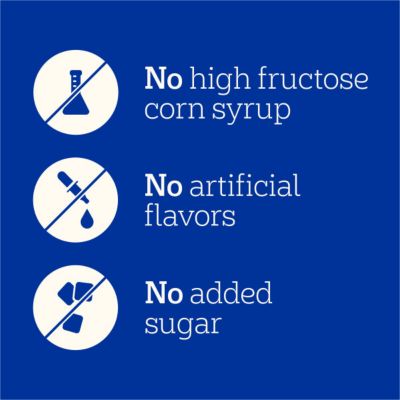 Image showing  Drizzlers Natural Turkey Flavor Savory Sauce Wet Dog, 2.1 oz., Twin Pouch