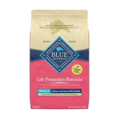 Image showing  Adult Salmon and Brown Rice Recipe Dry Dog Food