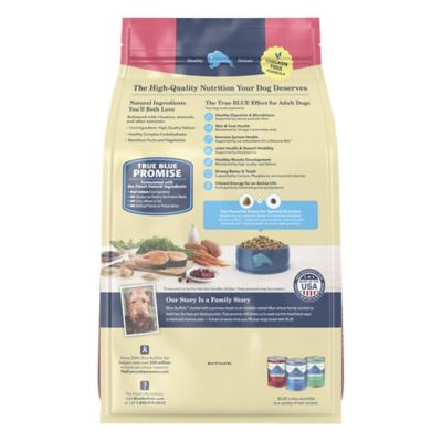 Image showing  Adult Salmon and Brown Rice Recipe Dry Dog Food