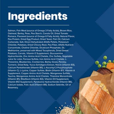 Image showing  Adult Salmon and Brown Rice Recipe Dry Dog Food