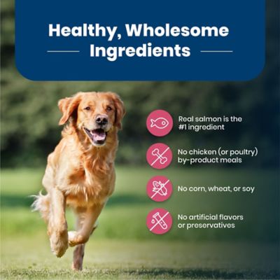 Image showing 5 th Blue Buffalo Life Protection Adult Salmon and Brown Rice Recipe Dry Dog Food