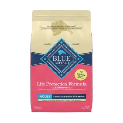 Blue Buffalo Life Protection Adult Salmon and Brown Rice Recipe Dry Dog Food