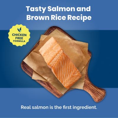 Image showing  Adult Salmon and Brown Rice Recipe Dry Dog Food