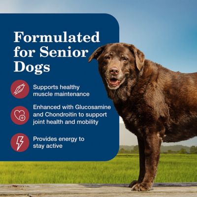 Image showing  Senior 7+ Beef and Vegetable Dinner Wet Dog Food, 12.5 oz.