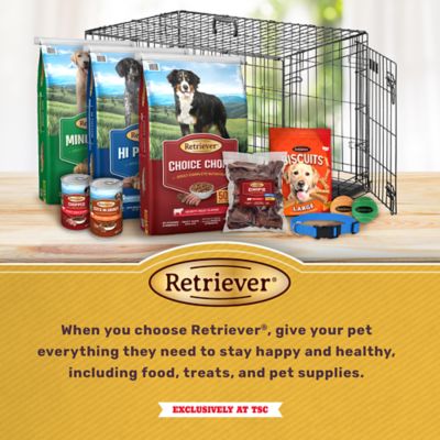 Image showing 5 th Retriever 5 in. Chicken-Coated Collagen Pretzel Dog Chew Treats, 4 ct.