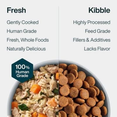 Image showing  JustFresh Chicken Recipe Dog Food, 12 oz.