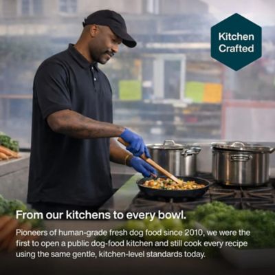 Image showing  JustFresh Chicken Recipe Dog Food, 12 oz.