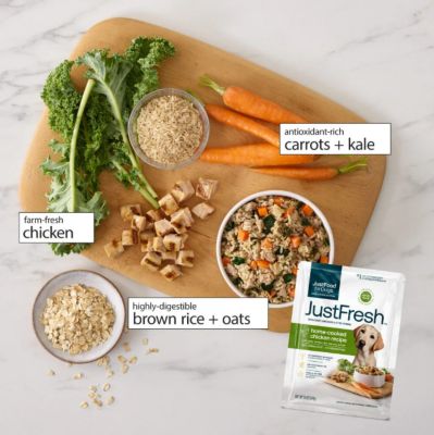 Image showing 7 th JustFoodForDogs JustFresh Chicken Recipe Dog Food, 12 oz.