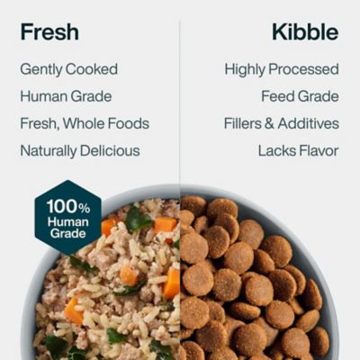 Image showing  JustFresh Beef Recipe Dog Food, 12 oz.