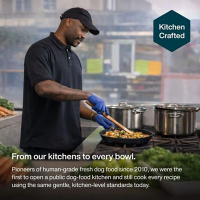 Image showing  JustFresh Beef Recipe Dog Food, 12 oz.