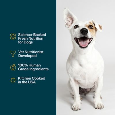 Image showing  JustFresh Beef Recipe Dog Food, 12 oz.