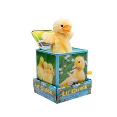 Image showing  Duck Jack In The Box