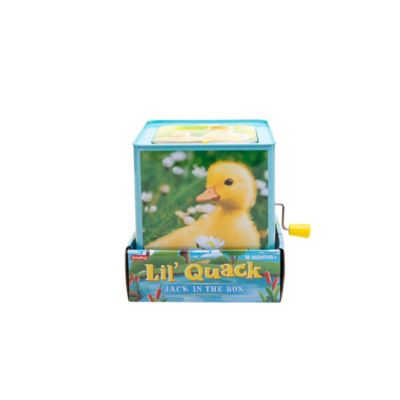 Image showing  Duck Jack In The Box