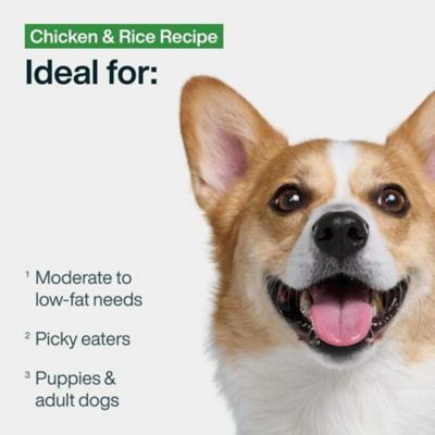 Image showing  Pantry Fresh Chicken & Rice Wet Dog Food, 12.5 oz. Box