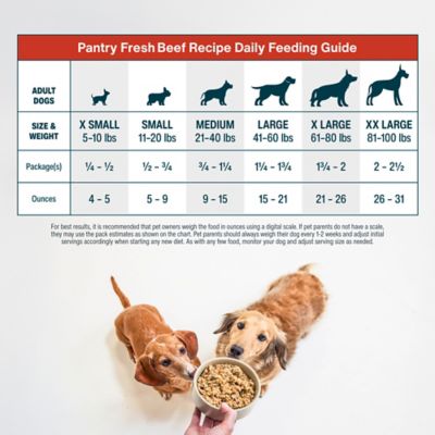 Image showing 5 th JustFoodForDogs PantryFresh Beef & Potato Dog Food, 12.5 oz.