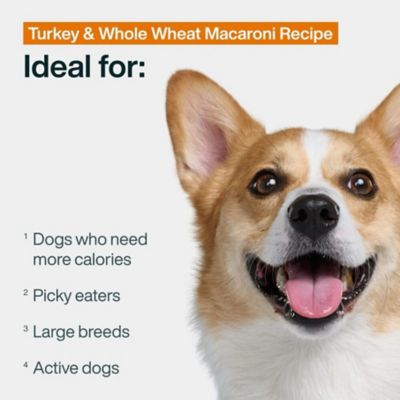 Image showing  PantryFresh Turkey & Whole Wheat Macaroni Dog Food, 12.5 oz.