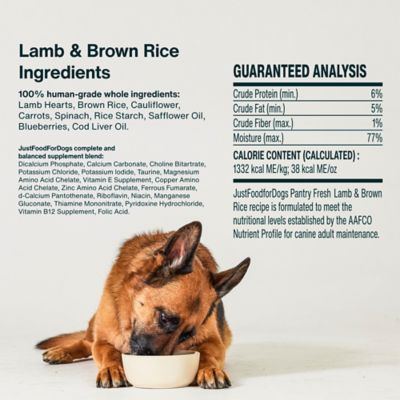 Image showing  Pantry Fresh Lamb & Rice Wet Dog Food, 12.5 oz. Box