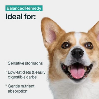 Image showing  PantryFresh Balanced Remedy Dog Food, 12.5 oz.