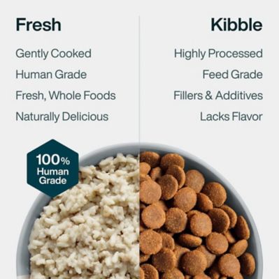 Image showing  PantryFresh Balanced Remedy Dog Food, 12.5 oz.