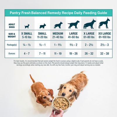 Image showing 5 th JustFoodForDogs PantryFresh Balanced Remedy Dog Food, 12.5 oz.