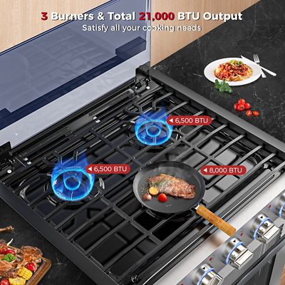 Image showing 5 th Camplux Propane Gas 21 in. RV Range, 8,000 BTU, RGS21MSF