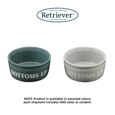 Image showing  61 oz. Slogan Ceramic Pet Water Bowl, Assorted