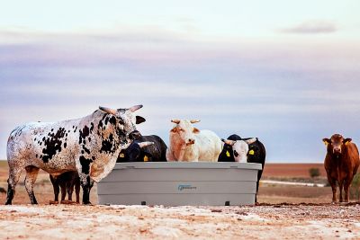 Image showing  1000 gal. Poly Tank 9 ft. x 28 in. Round with Drain Grey
