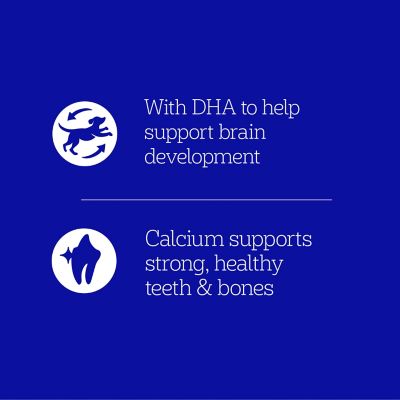 Image showing  Puppy Chopped Ground Dinner with Chicken and Beef Wet Dog Food, 13.2 oz.