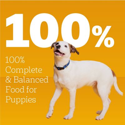 Image showing  Puppy Chopped Ground Dinner with Chicken and Beef Wet Dog Food, 13.2 oz.