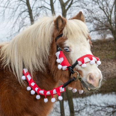 Image showing  5 pc. Set Mini Bridle & Rein Covers
