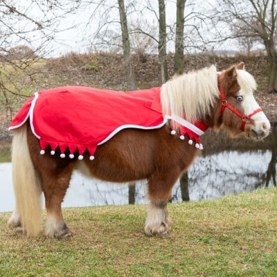 Image showing  Mini Quarter Sheet