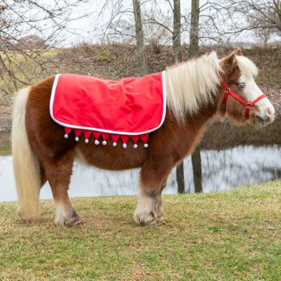 Image showing  Western Saddle Pad Cover