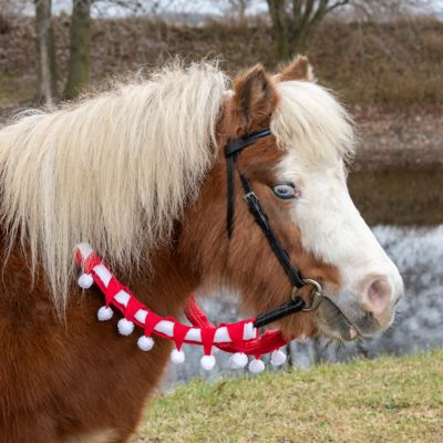 Image showing  2 pc. Set Rein Covers