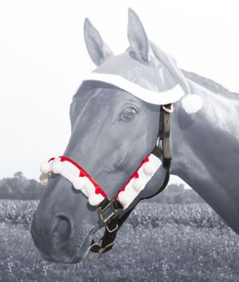Image showing  3 pc. Set Halter Covers