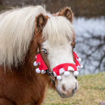 Image showing  3 pc. Set Halter Covers
