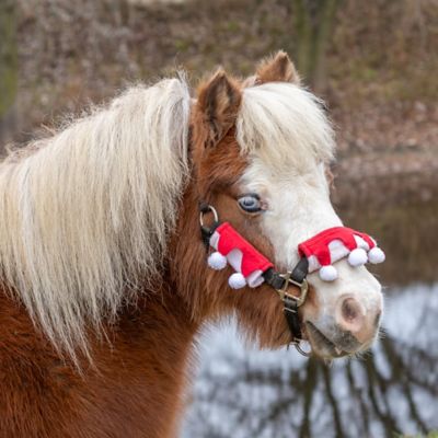 Image showing  3 pc. Set Halter Covers