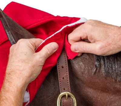 Image showing  Horse Hat